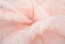 Lampada da Tavolo Palm Rosa Ø40x55 cm in Ferro e Plastica Rosa e Oro      
