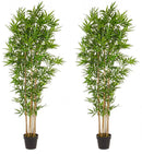 Set 2 Piante Artificiali di Bamboo 70x70x185 cm in Plastica con Vasi Verde