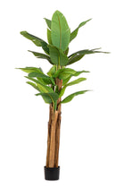 Pianta Artificiale di Banano Ø125x240 cm in Plastica con Vaso Verde 