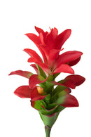 Set 4 Rami Artificiali Ginger Fiore con Foglie 100 cm 