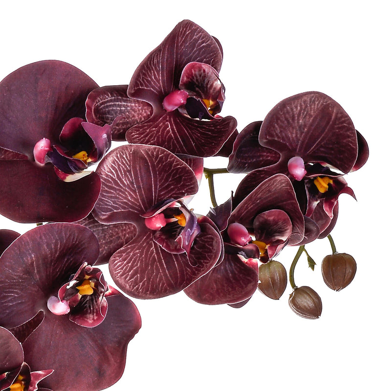 Set 3 Phalaenopsis Artificiali Real Touch Artificiale con 9 fiori Altezza 91 cm 