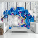 Fotomurale - Orchidea Cobalto 300X210 cm Carta da Parato Erroi