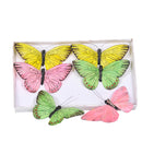 Set 12 Farfalle con Clip Larghezza 14 cm