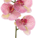 Set 3 Phalenopsis Artificiali con 5 Fiori Altezza 88 cm Viola