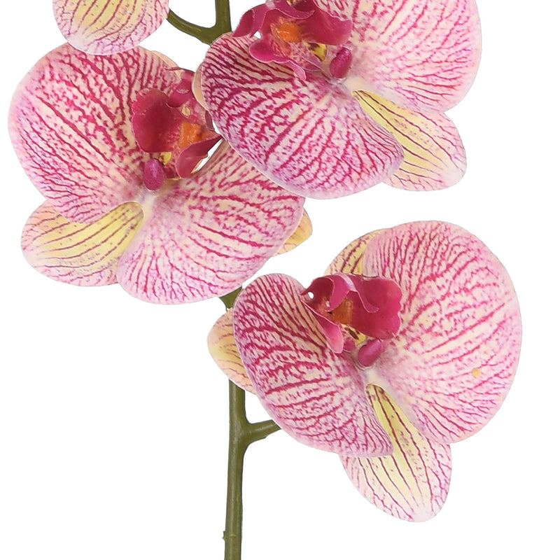Set 3 Phalenopsis Artificiali con 5 Fiori Altezza 88 cm Viola