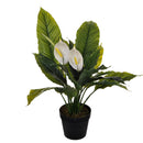 Pianta Artificiale Spathipilium con Vaso H 65 cm