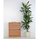 Scarpiera 2 ante 63x80x24 cm in Legno Melaminico Naturale 