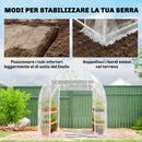 Serra a Tunnel 2x3x2 m con Porte Avvolgibili Telaio in Acciaio e Copertura in PE Anti-UV Trasparente      
