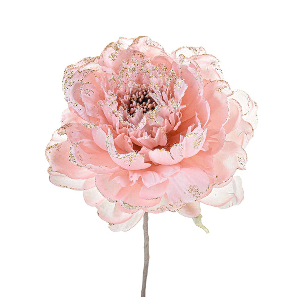 Set 12 Pick Pfingstrose Ø11 cm Rosa sconto