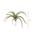 Set 2 Foglie Artificiali Tillandsia per 19 30 cm 