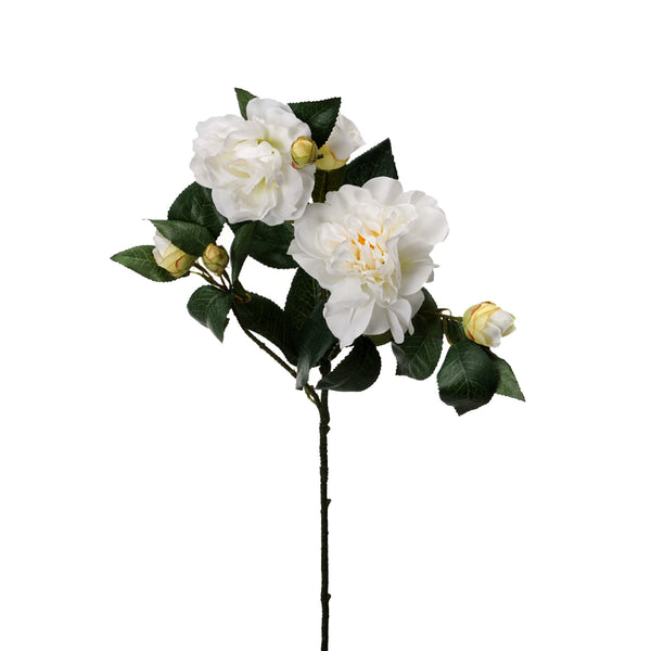 sconto Set mit 4 künstlichen Kamelienzweigen, Höhe 60 cm, Beige