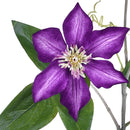 Set 4 Rami Artificiali di Clematis Composto da 2 Fiori Altezza 76 cm 