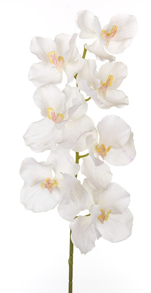 online Set 4 künstliche Vanda-Orchideen, Höhe 100 cm, weiß