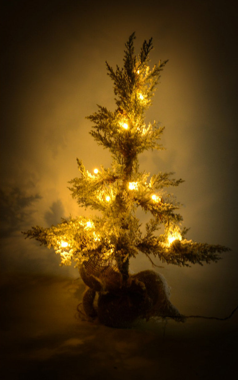 Albero di Natale Luminoso con LED e Pigne in PVC H170cm Juta Verde Innevato