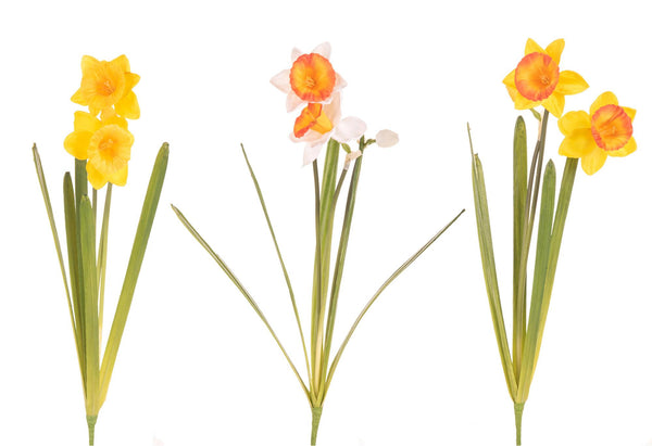 Set 6 Narzissen mit 2 Kunstblumen Höhe 48 cm Mehrfarbig prezzo