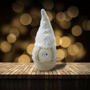 Lampada Gnomo Babbo Natale 15x15x45 cm in Poliestere Bianco