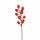 Satz von 24 Piricantha Picks H22 cm Rot