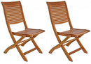 Set 2 Sedie da Giardino 50,5x64x93h cm Noemi Pieghevole 
