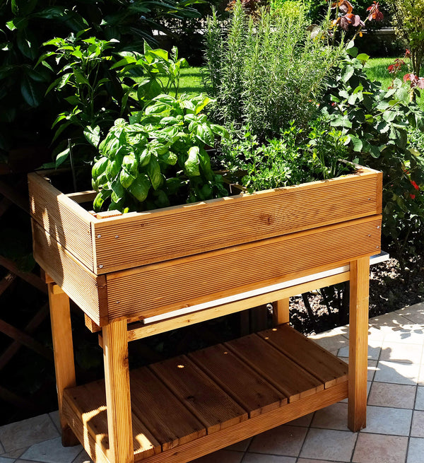 sconto Ortolegno 2 Regale 80x50x80 cm aus Taini-Lärchenholz