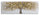 Gemälde auf Leinwand Super Tree 180x3,8x60 cm in Kiefernholz und Leinwand