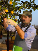 Retina Ripara Insetti con Cappello Rama Verde