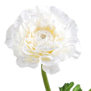 Set 4 Rami Artificiali 2 Diramazioni 50 cm