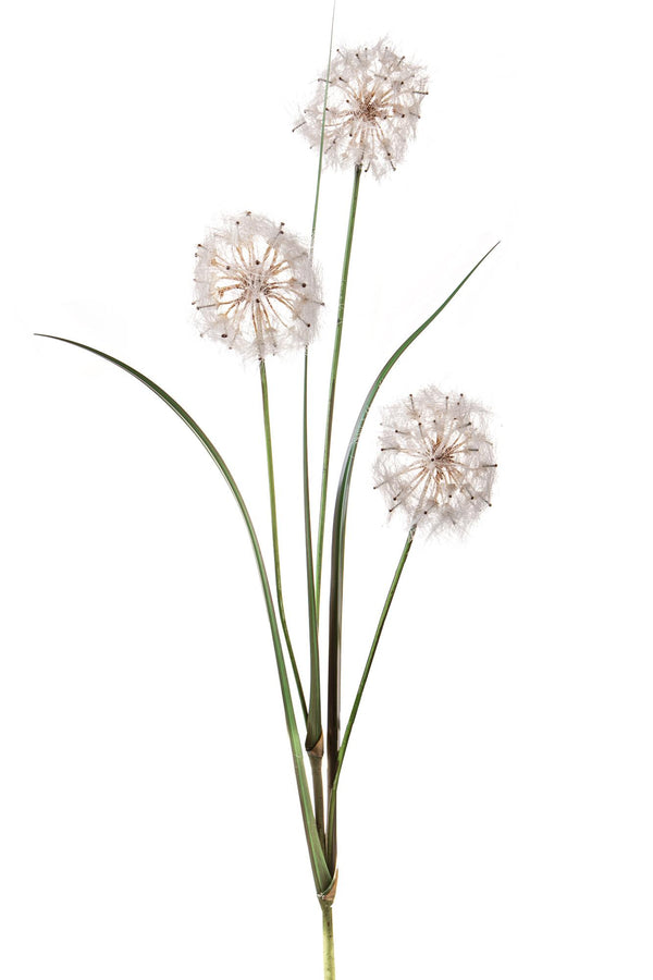 sconto Künstlicher Löwenzahn, bestehend aus 3 Blumen, Höhe 100 cm, weiß