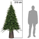 Albero di Natale Macao 210 cm Folto Base Effetto Legno Tronco 2037 Rami Foltissimo