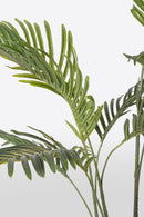 Set 2 Piante Artificiali di Kenzia Ø75x80 cm in Plastica con Vasi Verde