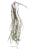 Set 2 Rami Artificiali di Bear Grass Cadente H 152 cm