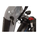 Fat-Bike Bicicletta Elettrica Pieghevole 36V a Pedalata Assistita 20"" 250W Grigio Nardò