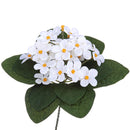 Set 6 Cespugli Artificiali di Violetta Altezza 21 cm Bianco