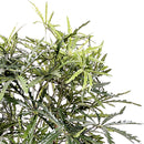 Aralia Artificiale a 2 Diramazioni con 954 Foglie Altezza 150 cm Verde