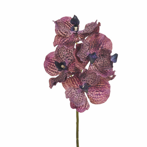 Set 4 Künstliche Orchideen Vanda Höhe 62 cm Rosa prezzo