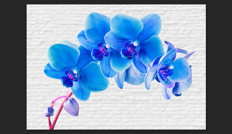 Fotomurale - Eccitazione Blu Carta Da Parato Erroi