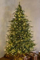 Albero di Natale Artificiale H260 cm Abete Gran Sasso 4681 Tips 720 Led Verde