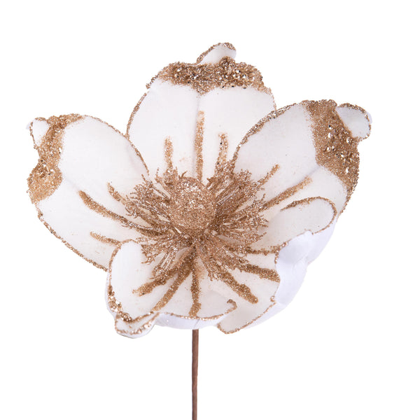 online Set mit 12 Plektren Magnolia 15 cm Creme