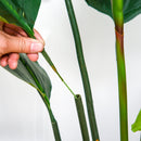 Pianta Artificiale Strelitzia Reginae H155 cm con Vaso Verde e Rosso