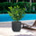 Vaso da Esterno Interno Design Cilindrico Ø35x34 cm Raffaello in Resina Grigio