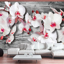 Fotomurale - Orchidee Insensibili Carta Da Parato Erroi