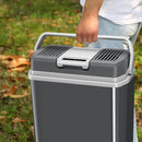 Frigorifero Elettrico Portatile 24 L a Pozzetto Caldo e Freddo Spina 230V e 12V Grigio
