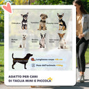 Passeggino per Cani Pieghevole 75x45x97 cm con Portabicchieri e Cestino in Tessuto Grigio Carbone   