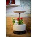 Macchina per Coltivazione di Piante Erbe Fiori con Lampada LED Garden Machine Bianco