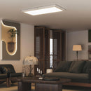Set 2 Plafoniere LED Sottili e Minimal 60x30x3,7 cm con Colore Regolabile in Acciaio e Plastica Bianco      