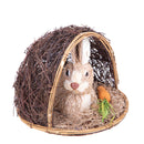 Coniglio con Carota 22 H 15 cm 