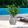Vaso da Esterno Interno Design Cilindrico Ø35x34 cm Raffaello in Resina Beige