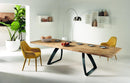 Tavolo Allungabile 200/300x100x76 cm Gambe in Metallo Bridge Naturale