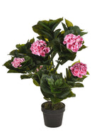 Ortensia Artificiale con Vaso Altezza 74 cm Rosa