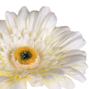 Set 12 Fiori Artificiali di Gerbera Altezza 63 cm Bianco