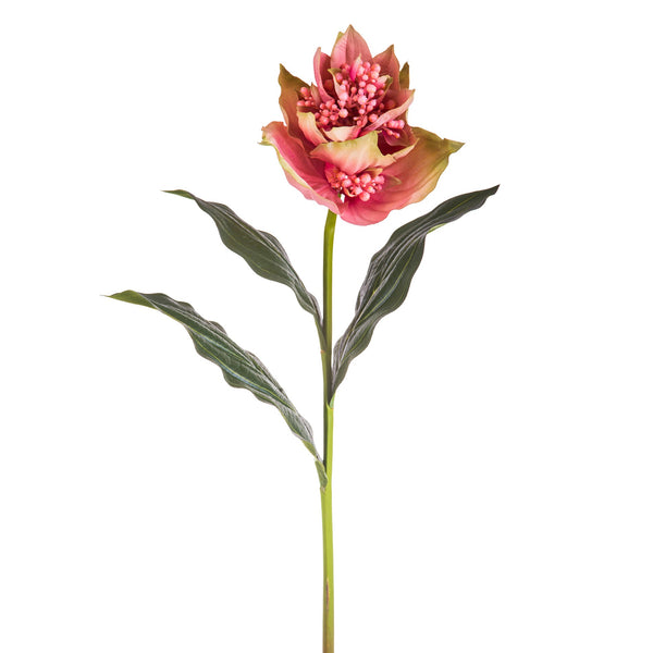 Set 2 Kunstblumen Medinilla Höhe 86 cm Rosa prezzo